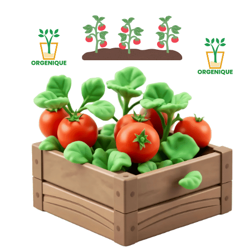 Home Garden Vegetables
