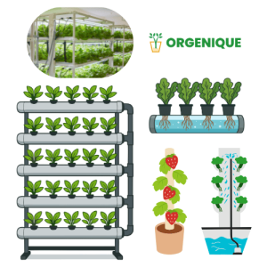 Orgenique Hydroponic System